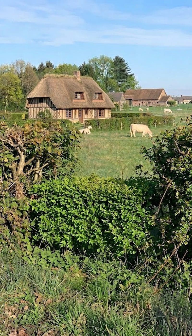 Le Bornage Foncier : De l'héritage de notre Code Civil à la sécurisation de vos projets immobiliers - Article GEO SEINE Géomètre-Expert Normandie